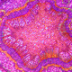 According to the nation's top scientists, the deadly ST-p5 virus (right) causes something bad to happen somewhere in the human head.